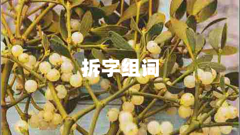 拆字組詞