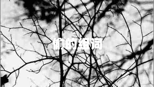 偷的組詞