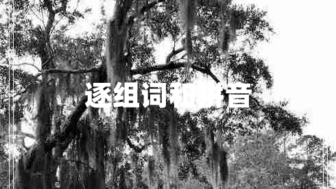 逐組詞和拼音