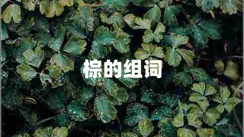 棕的組詞