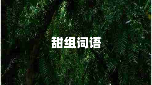 甜組詞語(yǔ)
