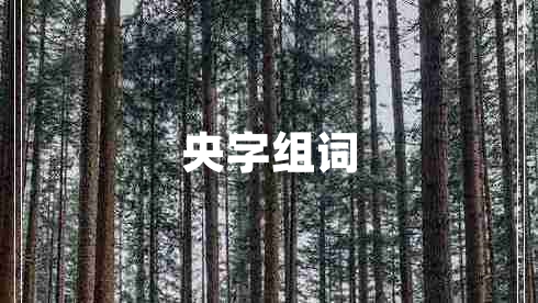 央字組詞
