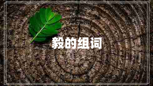 毅的組詞