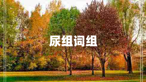 尿組詞組