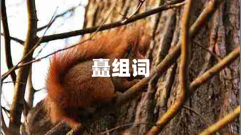 矗組詞
