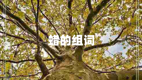 蠟的組詞