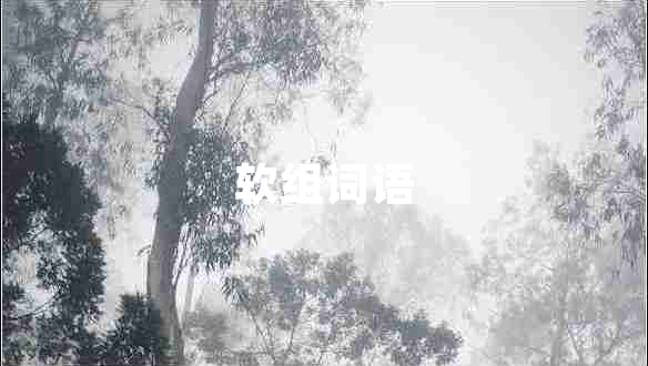 軟組詞語(yǔ)
