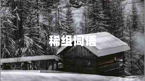 稀組詞語(yǔ)