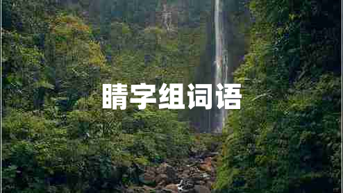 睛字組詞語(yǔ)