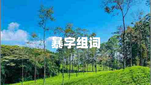 暴字組詞