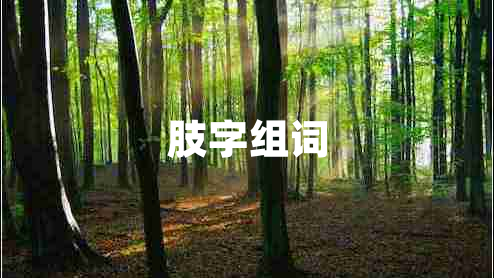 肢字組詞