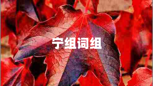 寧組詞組