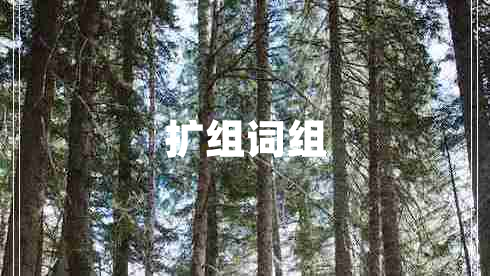 擴組詞組