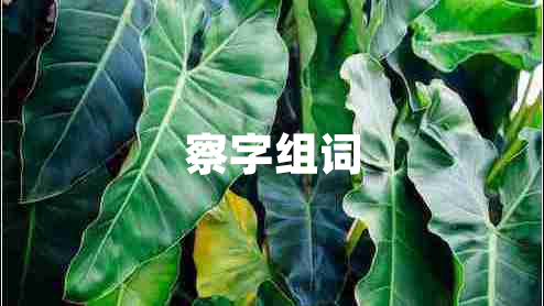 察字組詞