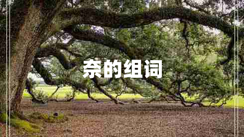 奈的組詞