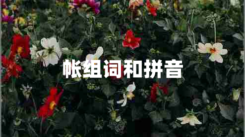 帳組詞和拼音