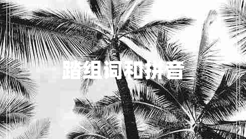 踏組詞和拼音