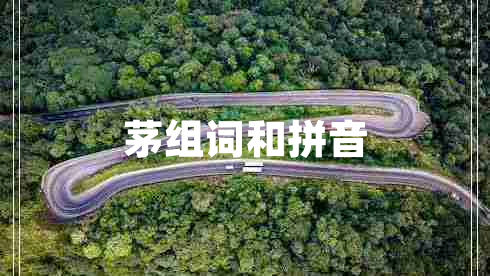 茅組詞和拼音