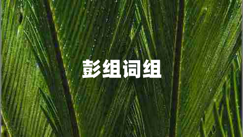 彭組詞組