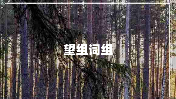 望組詞組
