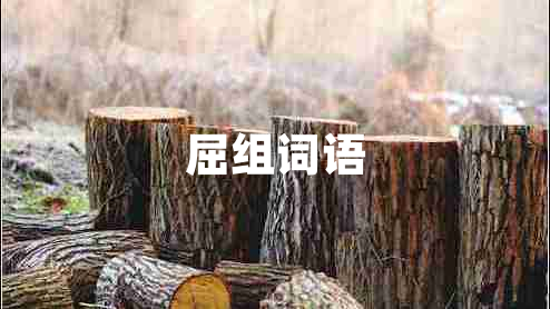 屈組詞語(yǔ)