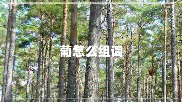 葡怎么組詞