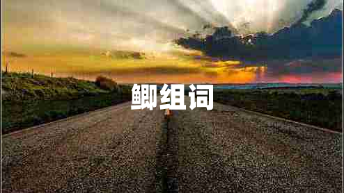 鯽組詞