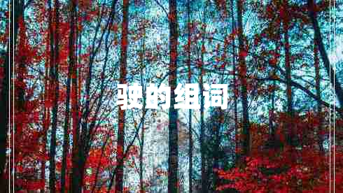 駛的組詞
