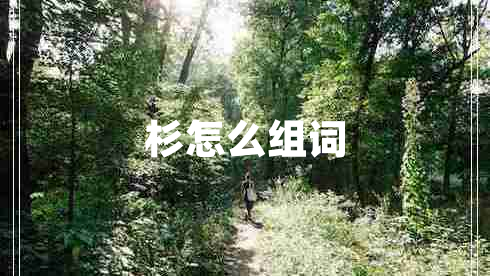 杉怎么組詞