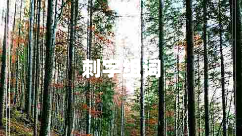刺字組詞