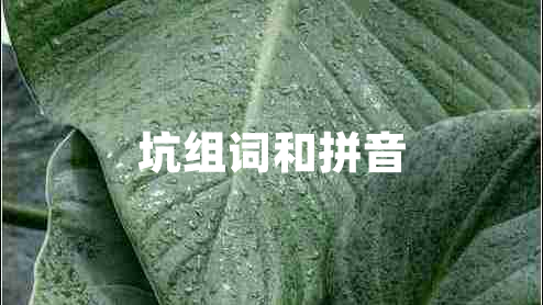 坑組詞和拼音