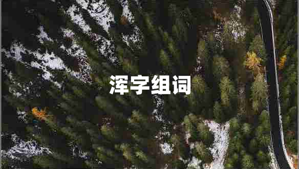 渾字組詞