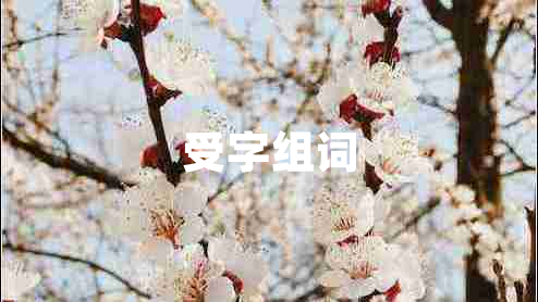 受字組詞