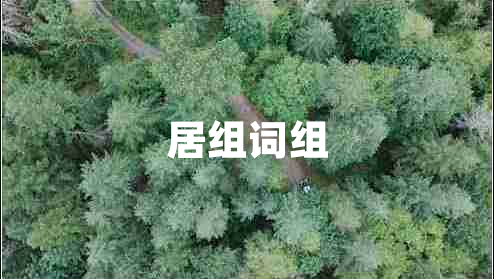 居組詞組