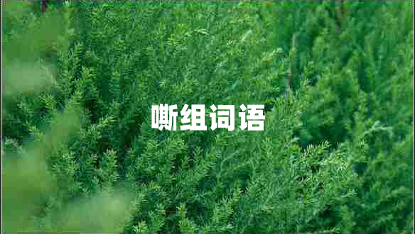 嘶組詞語(yǔ)