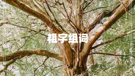 粗字組詞