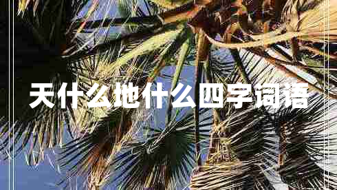 天什么地什么四字詞語(yǔ)