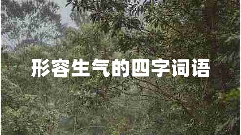 形容生氣的四字詞語(yǔ)