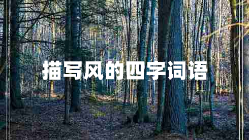 描寫(xiě)風(fēng)的四字詞語(yǔ)