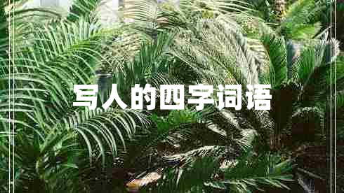 寫(xiě)人的四字詞語(yǔ)