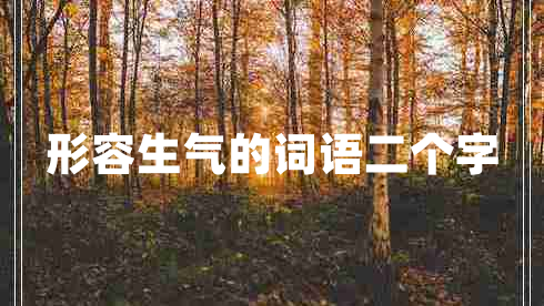 形容生氣的詞語(yǔ)二個(gè)字