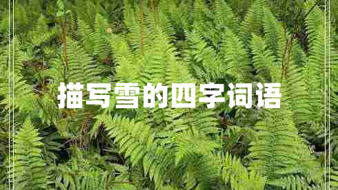 描寫(xiě)雪的四字詞語(yǔ)