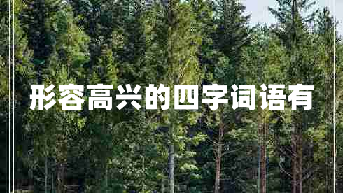 形容高興的四字詞語(yǔ)有