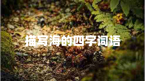 描寫(xiě)海的四字詞語(yǔ)