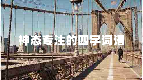 神態(tài)專(zhuān)注的四字詞語(yǔ)
