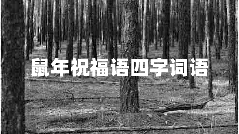 鼠年祝福語(yǔ)四字詞語(yǔ)