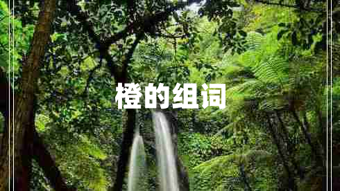 橙的組詞