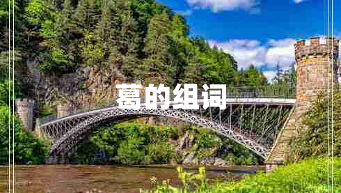 葛的組詞