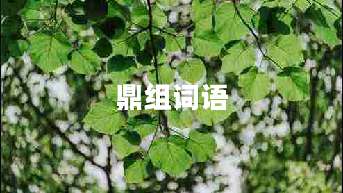 鼎組詞語(yǔ)