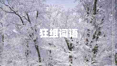 狂組詞語(yǔ)